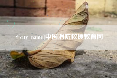 儋州中国消防救援教育网
