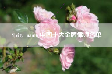 儋州中国十大金牌律师名单