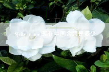 儋州现在中国金牌是多少