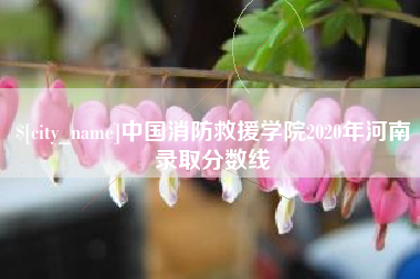 儋州中国消防救援学院2020年河南录取分数线