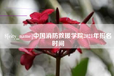 儋州中国消防救援学院2021年报名时间