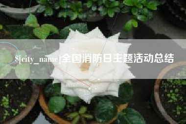 儋州全国消防日主题活动总结