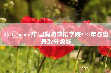 儋州中国消防救援学院2021年各省录取分数线