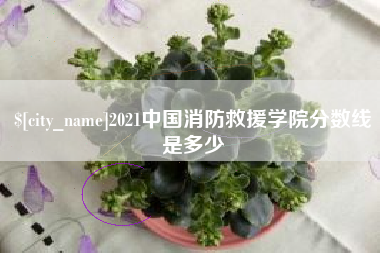 儋州2021中国消防救援学院分数线是多少