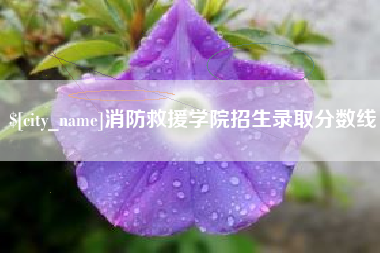 儋州消防救援学院招生录取分数线