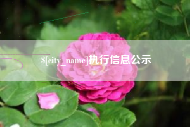 儋州执行信息公示