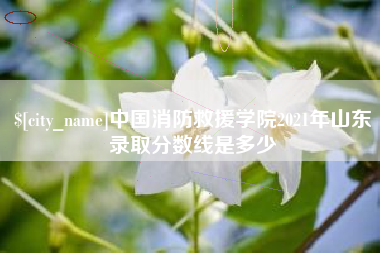 儋州中国消防救援学院2021年山东录取分数线是多少