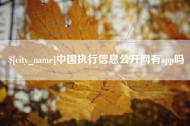 儋州中国执行信息公开网有app吗