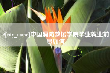 儋州中国消防救援学院毕业就业前景如何
