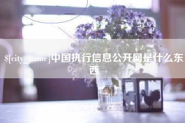 儋州中国执行信息公开网是什么东西