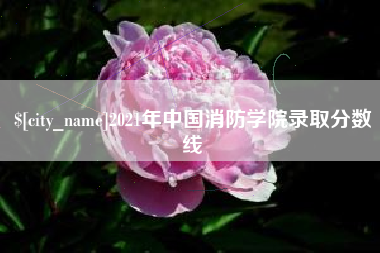 儋州2021年中国消防学院录取分数线
