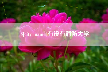 儋州有没有消防大学