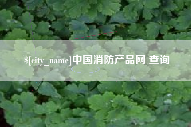 儋州中国消防产品网 查询