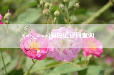儋州消控证官网查询