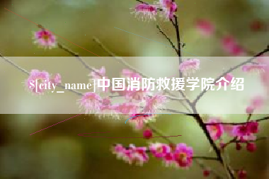 儋州中国消防救援学院介绍