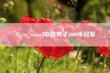 儋州中国男子5000米冠军