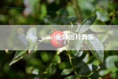 儋州金牌图片真实