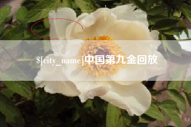 儋州中国第九金回放