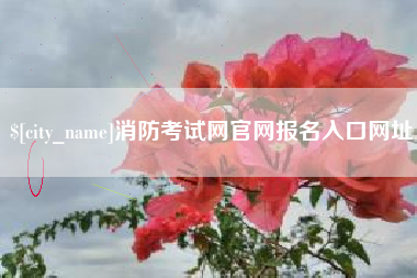 儋州消防考试网官网报名入口网址