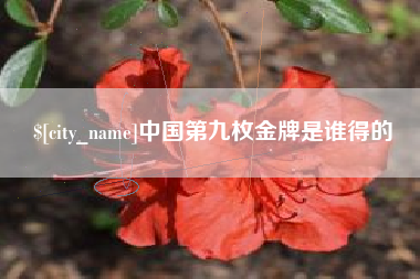 儋州中国第九枚金牌是谁得的