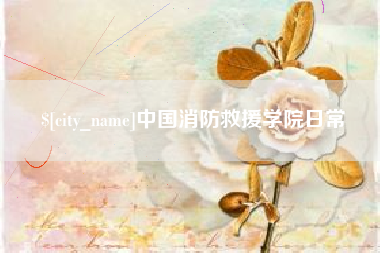 儋州中国消防救援学院日常