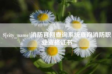 儋州消防官网查询系统查询消防职业资格证书