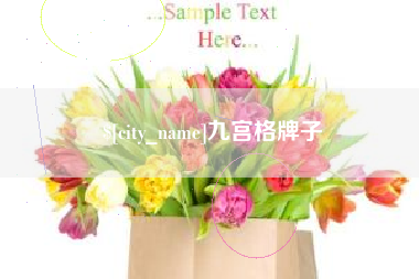 儋州九宫格牌子