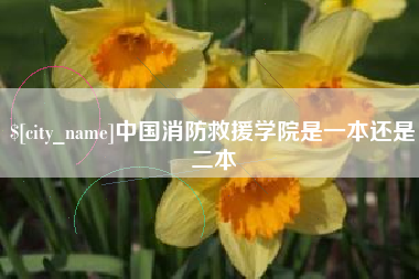 儋州中国消防救援学院是一本还是二本