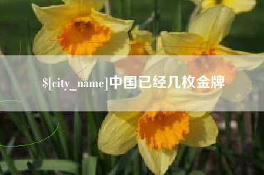 儋州中国已经几枚金牌