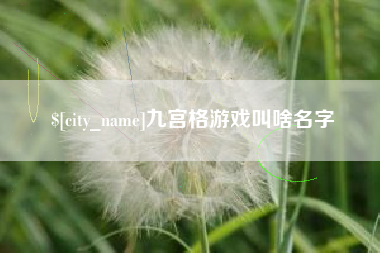 儋州九宫格游戏叫啥名字