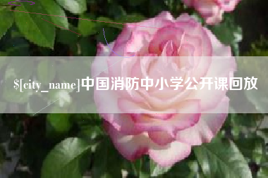 儋州中国消防中小学公开课回放