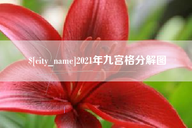 儋州2021年九宫格分解图