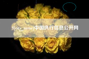 儋州中国执行信息公开网