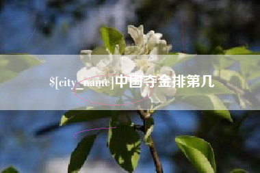 儋州中国夺金排第几