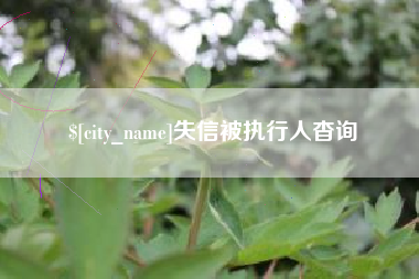 儋州失信被执行人杳询