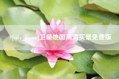 儋州卫星地图高清实景免费版