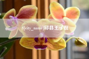 儋州邱县王子磊