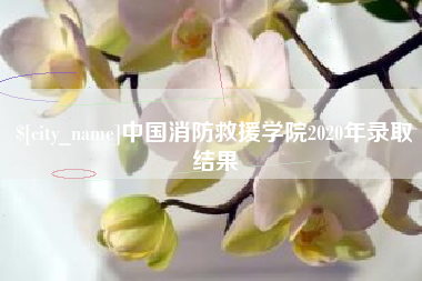 儋州中国消防救援学院2020年录取结果