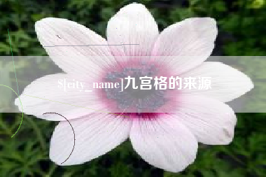 儋州九宫格的来源
