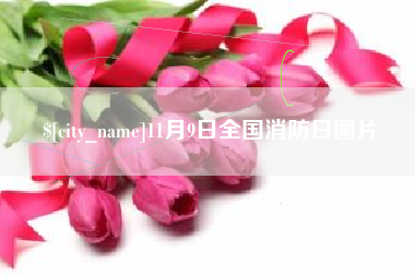 儋州11月9日全国消防日图片