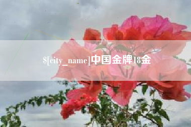 儋州中国金牌18金