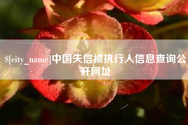 儋州中国失信被执行人信息查询公开网址
