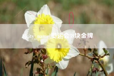 儋州奥运会39块金牌