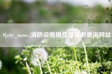 儋州消防设施操作员证书查询网址