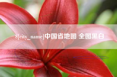 儋州中国省地图 全图黑白