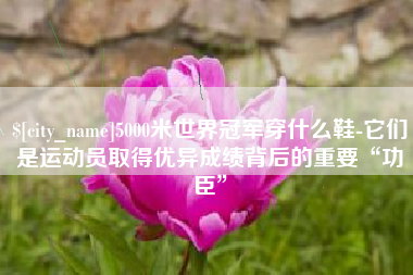 儋州5000米世界冠军穿什么鞋-它们是运动员取得优异成绩背后的重要“功臣”