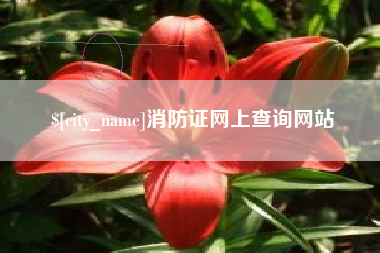 儋州消防证网上查询网站