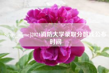 儋州2024消防大学录取分数线公布时间