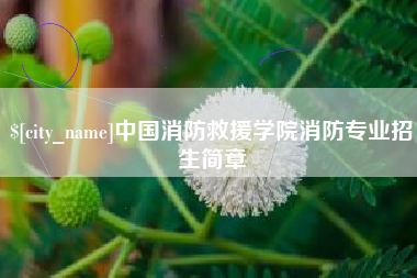 儋州中国消防救援学院消防专业招生简章