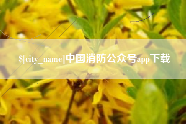 儋州中国消防公众号app下载